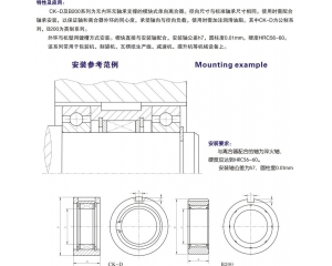 CK-D、B200 楔塊式單向離合器